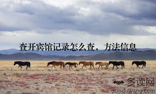 查开宾馆记录怎么查，方法信息