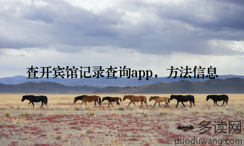 查开宾馆记录查询app，方法信息