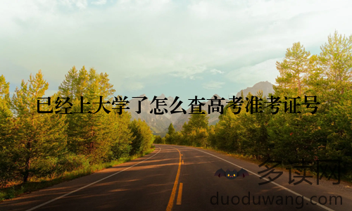 已经上大学了怎么查高考准考证号