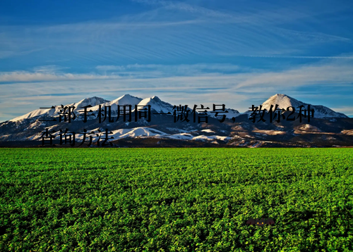 二部手机用同一微信号,教你2种查询方法