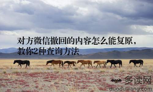 对方微信撤回的内容怎么能复原，教你2种查询方法