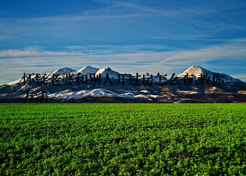 怀疑老婆和别人开过房怎么查,教你方法