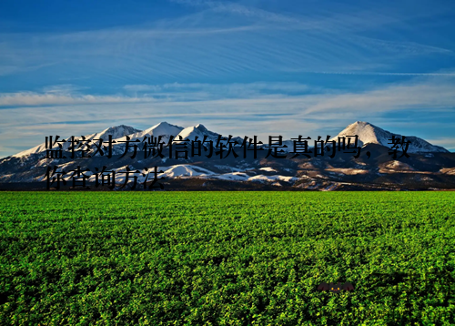 监控对方微信的软件是真的吗，教你查询方法