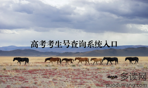 高考考生号查询系统入口
