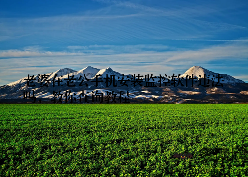 老婆在老公手机安装监控软件违法吗,教你查询教程