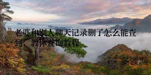 老婆和别人聊天记录删了怎么能查到，教你查询教程