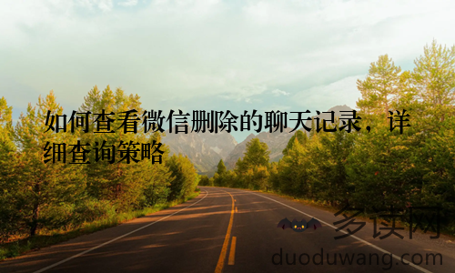如何查看微信删除的聊天记录，详细查询策略