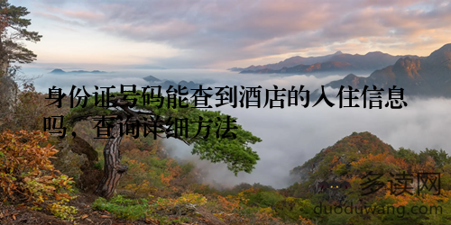 身份证号码能查到酒店的入住信息吗，查询详细方法