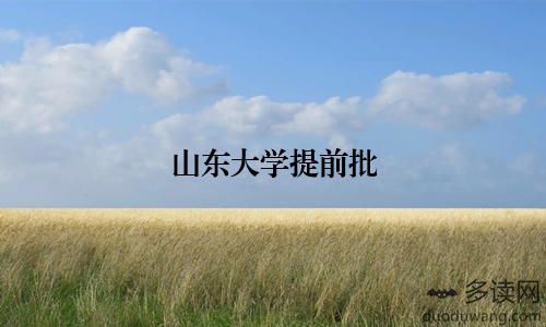 山东大学提前批