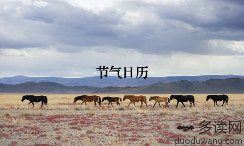 节气日历