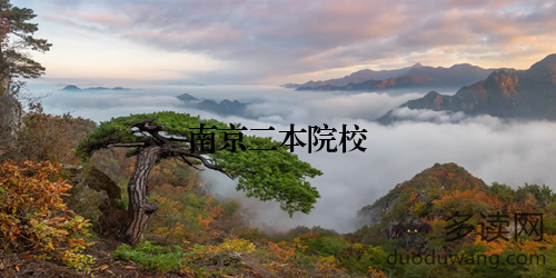 南京二本院校