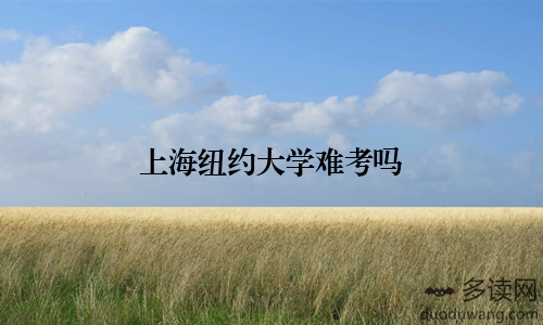 上海纽约大学难考吗