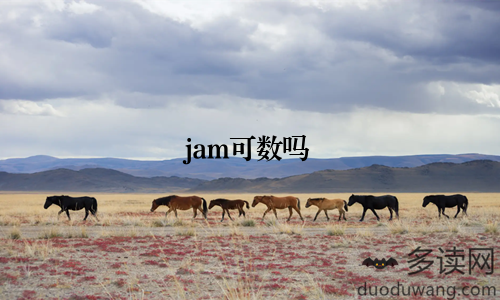 jam可数吗