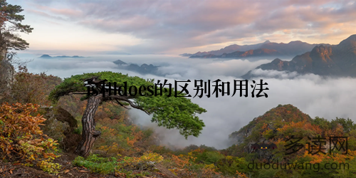 is和does的区别和用法