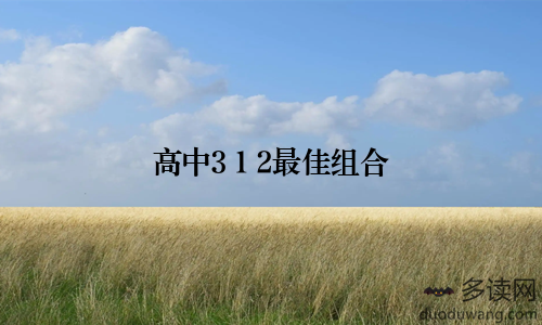 高中3+1+2最佳组合