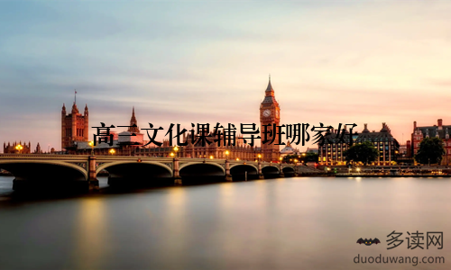 高三文化课辅导班哪家好