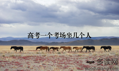 高考一个考场坐几个人