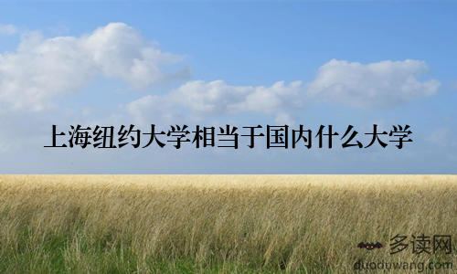 上海纽约大学相当于国内什么大学