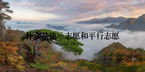 什么是第一志愿和平行志愿