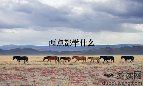 西点都学什么