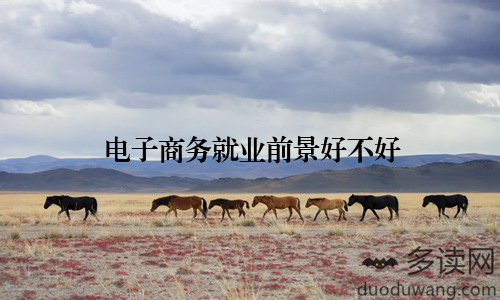 电子商务就业前景好不好