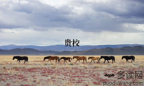 贵校