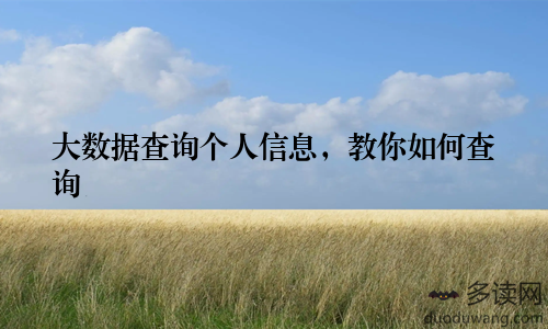 大数据查询个人信息,教你如何查询