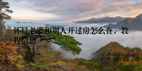 怀疑老婆和别人开过房怎么查，教程信息