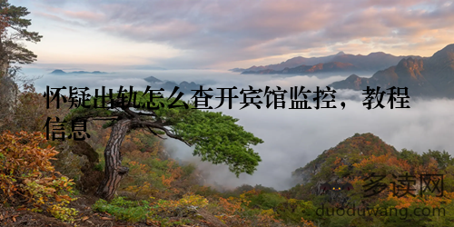 怀疑出轨怎么查开宾馆监控，教程信息