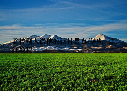 监控别人微信的软件是真的吗，详细教程