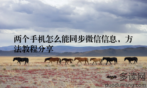 两个手机怎么能同步微信信息，方法教程分享