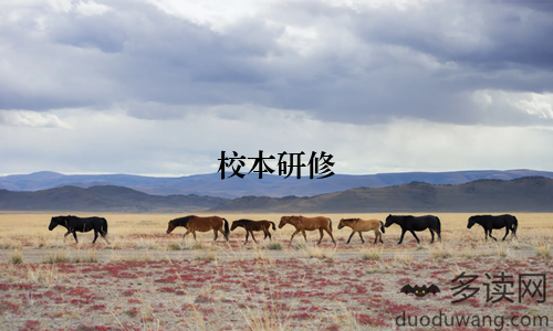 校本研修