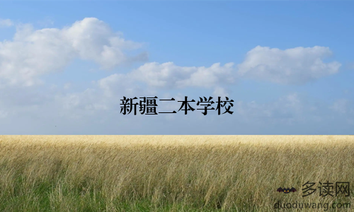 新疆二本学校