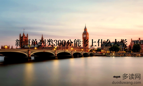 新疆单列类300分能考上什么大学