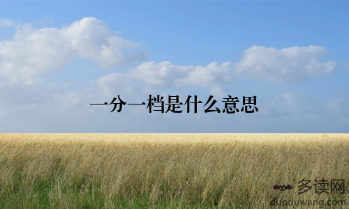一分一档是什么意思