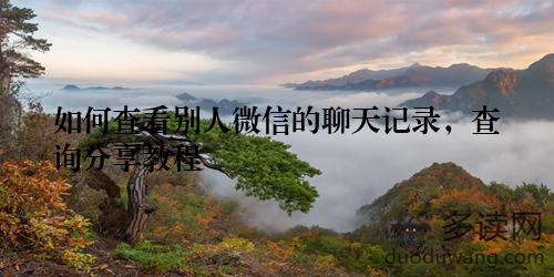 如何查看别人微信的聊天记录，查询分享教程