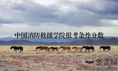 中国消防救援学院报考条件分数