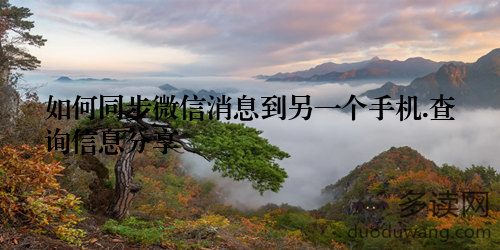 如何同步微信消息到另一个手机.查询信息分享