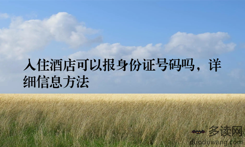 入住酒店可以报身份证号码吗，详细信息方法