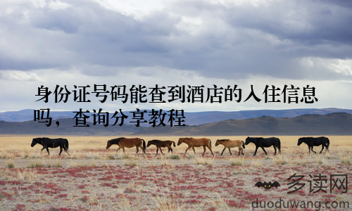 身份证号码能查到酒店的入住信息吗，查询分享教程