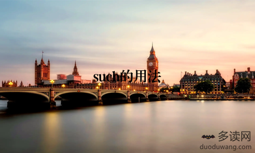such的用法