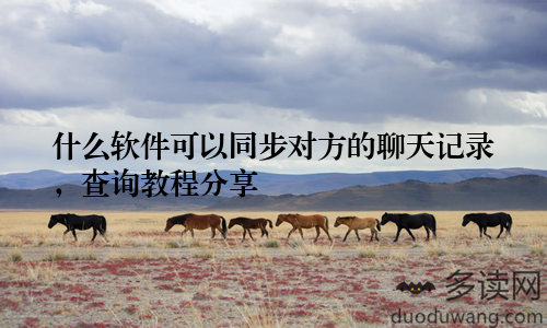 什么软件可以同步对方的聊天记录，查询教程分享