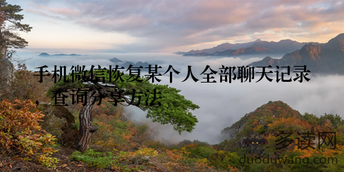 手机微信恢复某个人全部聊天记录，查询分享方法