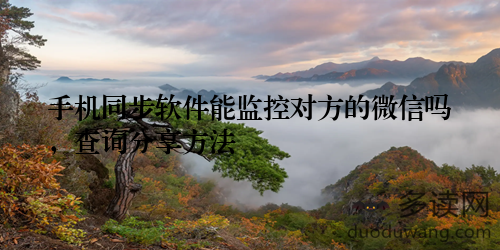手机同步软件能监控对方的微信吗，查询分享方法