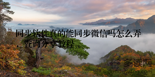 同步软件真的能同步微信吗怎么弄，查询分享教程