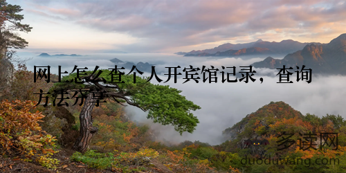 网上怎么查个人开宾馆记录，查询方法分享