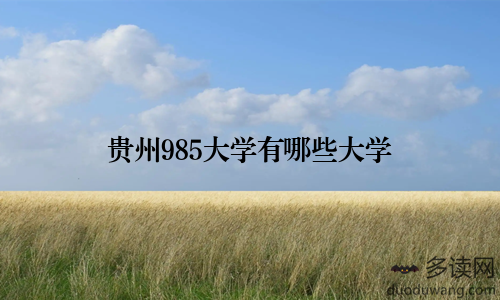 贵州985大学有哪些大学
