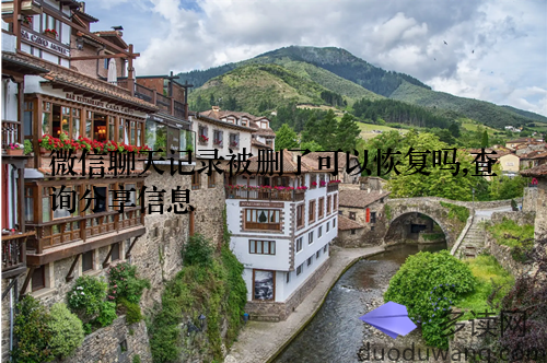 微信聊天记录被删了可以恢复吗,查询分享信息