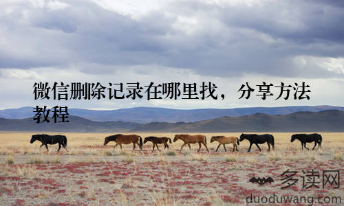 微信删除记录在哪里找，分享方法教程