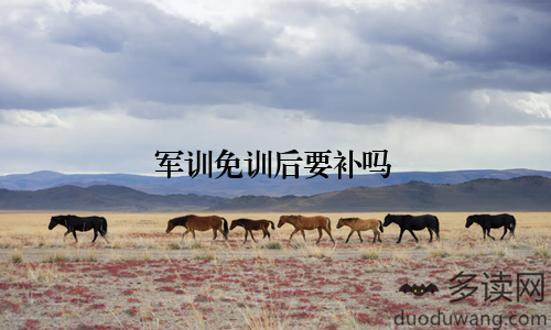 军训免训后要补吗